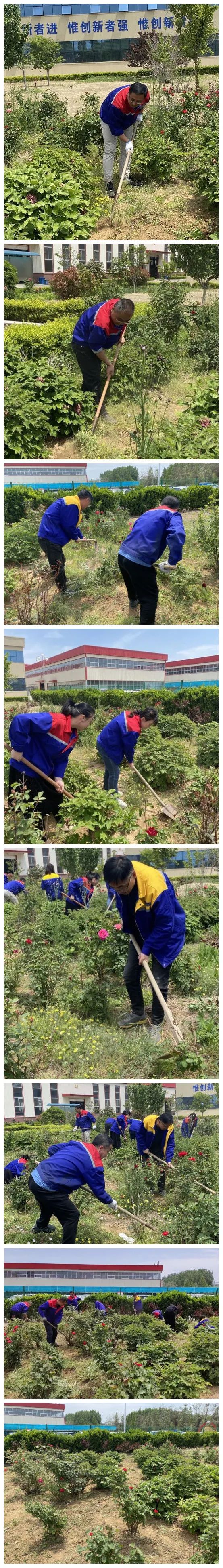 青島銳智黨支部開(kāi)展“清除雜草 美化環(huán)境”主題黨日活動(dòng) 青島銳智黨支部開(kāi)展“清除雜草 美化環(huán)境”主題黨日活動(dòng)